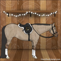 Horse Color:Liver Red Dun Brindle 