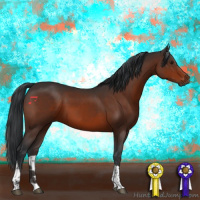 Horse Color:Brown Tobiano