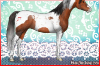 Horse Color:Bay Tobiano Rabicano 