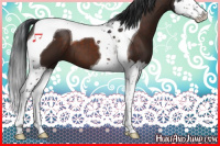 Horse Color:Brown Splash Tobiano 