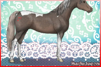 Horse Color:Silver Black Tobiano 