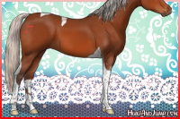Horse Color:Silver Brown Tobiano 