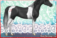 Horse Color:Black Tobiano 