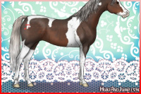 Horse Color:Silver Black Splash Tobiano 