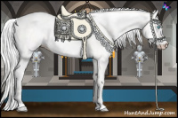 Horse Color:Cremello