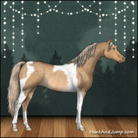 Horse Color:Chocolate Palomino Dun Tobiano Rabicano 