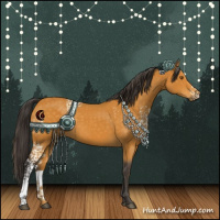 Horse Color:White Spotted Buckskin Rabicano 