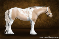 Horse Color:Chocolate Palomino Pearl Tobiano 