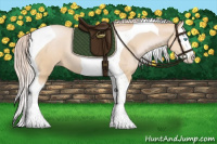 Horse Color:Palomino Pearl Splash Tobiano