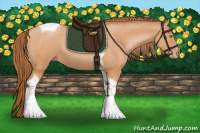 Horse Color:Bay Pearl Tobiano