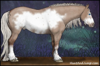 Horse Color:Silver Grullo Roan Sabino Frame