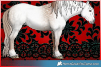 Horse Color:Gray Red Dun Sabino 