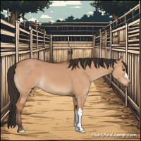 Horse Color:Bay Dun