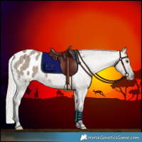 Horse Color:Liver Red Dun Mushroom Appaloosa Brindle 