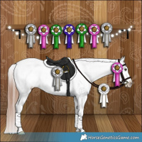 Horse Color:Liver Red Dun Appaloosa Brindle