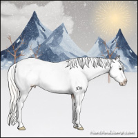Horse Color:White Spotted Silver Bay Blanket