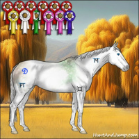 Horse Color:Gray Silver Bay Dun Splash Rabicano 