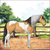 Horse Color:Buckskin Tobiano Rabicano 