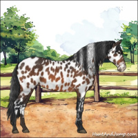 Horse Color:Bay Leopard 