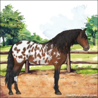 Horse Color:Brown Near Leopard 