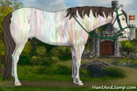 Horse Color:Amber Champagne Ice 