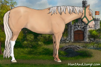Horse Color:Silver Amber Champagne 
