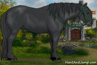 Horse Color:Void Black 