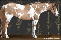 Horse Color:White Spotted Liver Chestnut Pearl Sabino