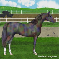 Horse Color:Nacre Black 