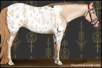 Horse Color:Gold Champagne Pearl Blanket 