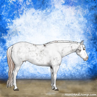 Horse Color:Liver Chestnut Sabino Splash Appaloosa  and Liver Chestnut Sabino Splash Appaloosa 