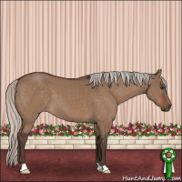 Horse Color:Silver Brown Dun 