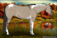 Horse Color:Liver Red Dun Tobiano 