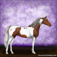 Horse Color:Silver Bay Tobiano 