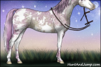 Horse Color:Watercolor White Spotted Chocolate Palomino Ice Splash
