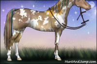 Horse Color:Painted White Spotted Liver Red Dun Rabicano 