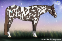 Horse Color:Liver Chestnut Sabino Near Leopard 
