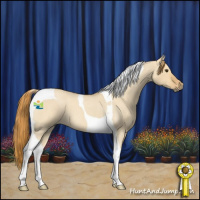 Horse Color:Red Dun Roan Tobiano 