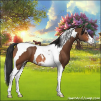 Horse Color:Bay Sabino Tobiano 