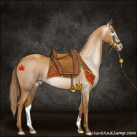 Horse Color:Gray Gold Champagne 