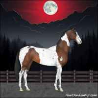 Horse Color:Brown Sabino Tobiano