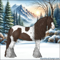 Horse Color:Liver Chestnut Sabino Tobiano 