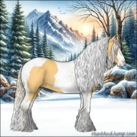 Horse Color:Palomino Sabino Tobiano 