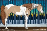 Horse Color:Red Dun Sabino Tobiano 