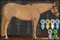 Horse Color:Chestnut  and Chestnut 