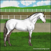 Horse Color:Liver Red Dun Mushroom Near Fewspot Brindle 