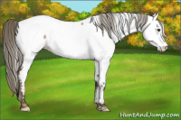 Horse Color:Liver Red Dun Mushroom Near Fewspot Brindle 