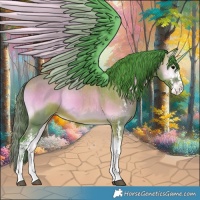 Horse Color:Watercolor Bay Onyx Sabino Appaloosa 