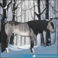 Horse Color:Platinum Brown Dun Brindle 