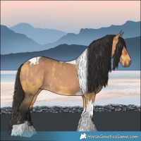 Horse Color:Buckskin Dun Tobiano  and Bay Dun Tobiano 